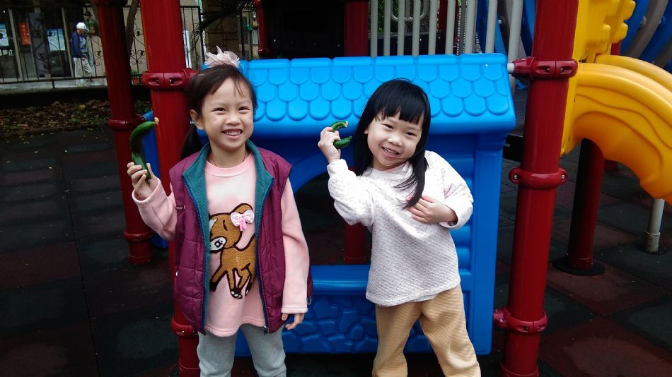 文件 : <FONT COLOR='red'>(109.04.24)主題課程【小黃瓜收成】-4.JPG</FONT> <BR> 尺寸 : <FONT COLOR='blue'>950 × 534</FONT> 圖元 <BR> 格式 : <FONT COLOR='green'>jpg</FONT> <BR> 大小 : <FONT COLOR='green'> -- </FONT> KB