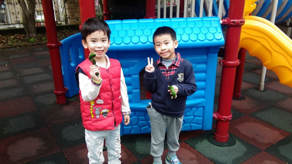 文件 : <FONT COLOR='red'>(109.04.24)主題課程【小黃瓜收成】-4.JPG</FONT> <BR> 尺寸 : <FONT COLOR='blue'>950 × 534</FONT> 圖元 <BR> 格式 : <FONT COLOR='green'>jpg</FONT> <BR> 大小 : <FONT COLOR='green'> -- </FONT> KB