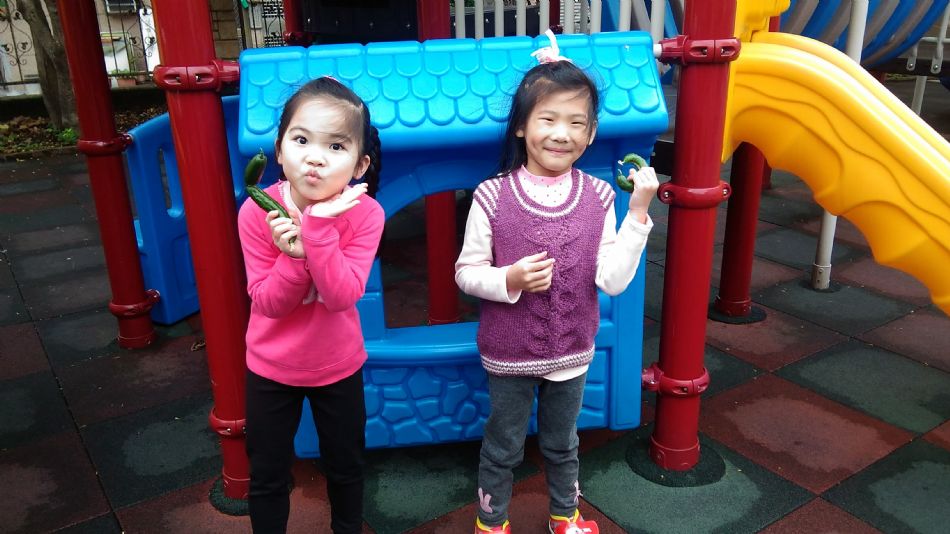 文件 : <FONT COLOR='red'>(109.04.24)主題課程【小黃瓜收成1】-1.JPG</FONT> <BR> 尺寸 : <FONT COLOR='blue'>950 × 534</FONT> 圖元 <BR> 格式 : <FONT COLOR='green'>jpg</FONT> <BR> 大小 : <FONT COLOR='green'> -- </FONT> KB