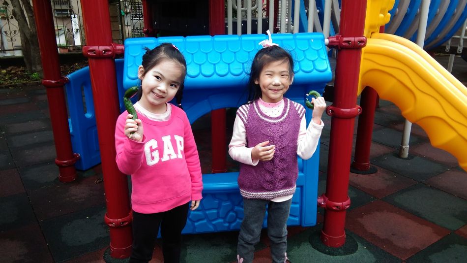 文件 : <FONT COLOR='red'>(109.04.24)主題課程【小黃瓜收成1】.JPG</FONT> <BR> 尺寸 : <FONT COLOR='blue'>950 × 534</FONT> 圖元 <BR> 格式 : <FONT COLOR='green'>jpg</FONT> <BR> 大小 : <FONT COLOR='green'> -- </FONT> KB