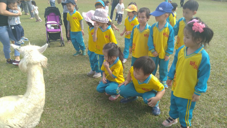 文件 : <FONT COLOR='red'>(108.11.01)綠世界-3.JPG</FONT> <BR> 尺寸 : <FONT COLOR='blue'>950 × 534</FONT> 圖元 <BR> 格式 : <FONT COLOR='green'>jpg</FONT> <BR> 大小 : <FONT COLOR='green'> -- </FONT> KB