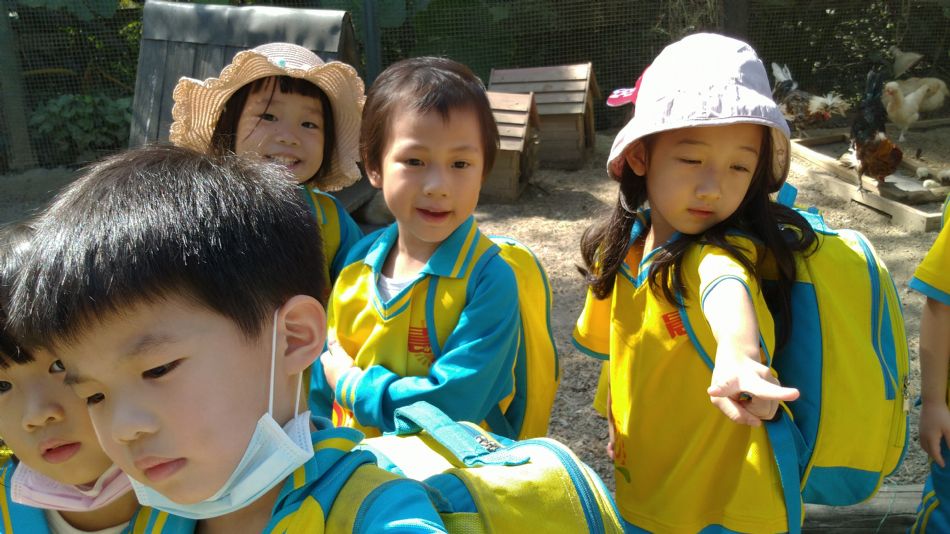 文件 : <FONT COLOR='red'>(108.11.01)綠世界-16.JPG</FONT> <BR> 尺寸 : <FONT COLOR='blue'>950 × 534</FONT> 圖元 <BR> 格式 : <FONT COLOR='green'>jpg</FONT> <BR> 大小 : <FONT COLOR='green'> -- </FONT> KB