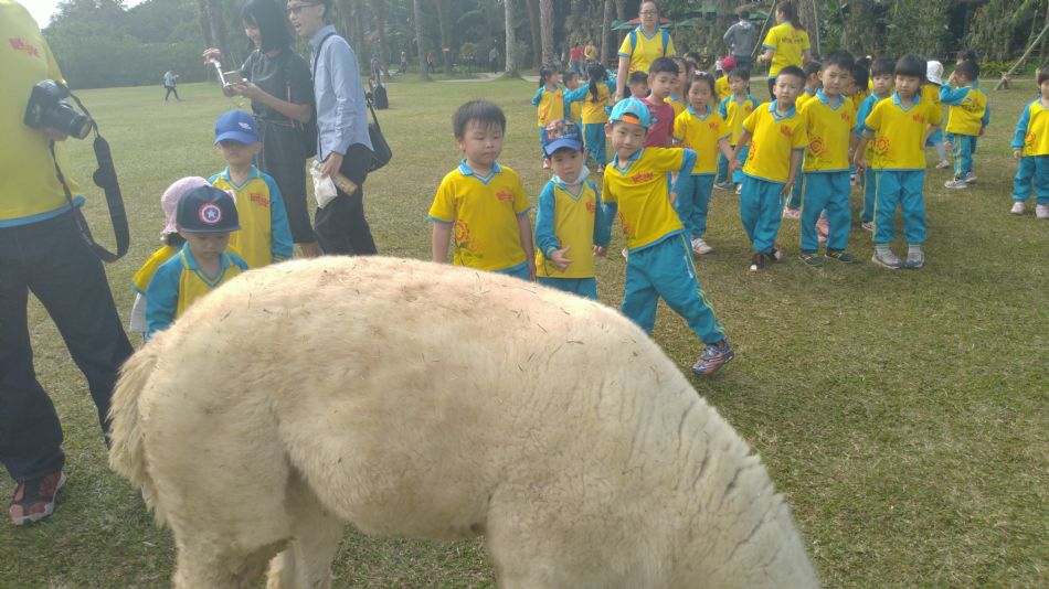 文件 : <FONT COLOR='red'>(108.11.01)綠世界-17.JPG</FONT> <BR> 尺寸 : <FONT COLOR='blue'>950 × 534</FONT> 圖元 <BR> 格式 : <FONT COLOR='green'>jpg</FONT> <BR> 大小 : <FONT COLOR='green'> -- </FONT> KB