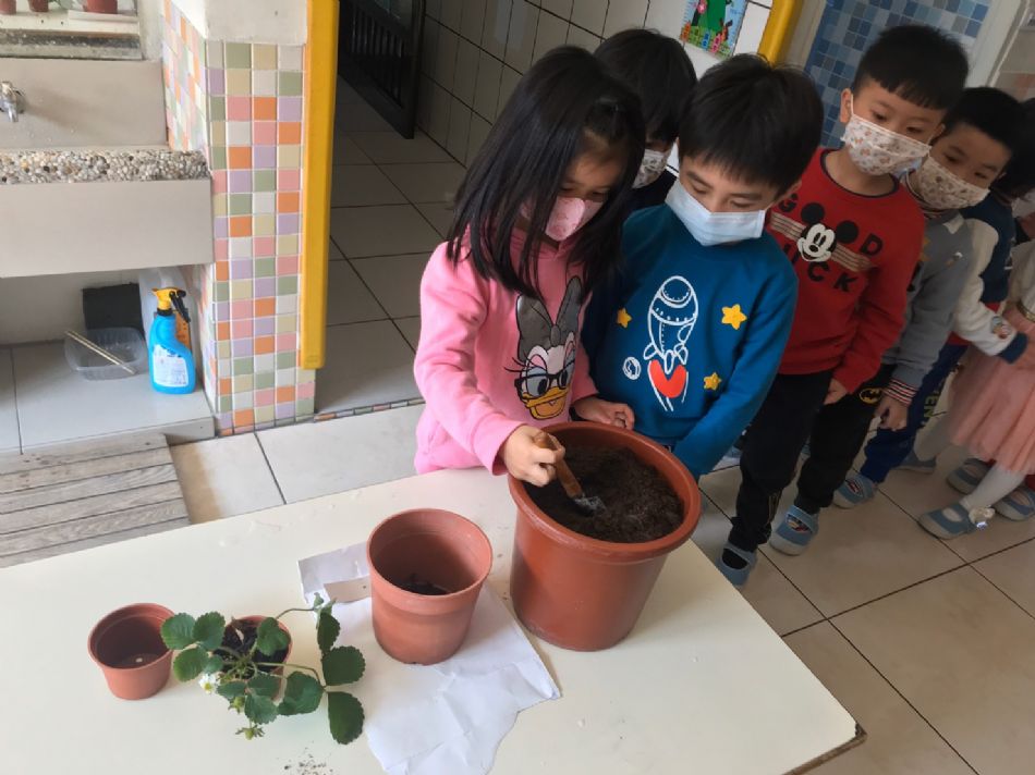 文件 : <FONT COLOR='red'>(109.02.14)種草莓-1.JPG</FONT> <BR> 尺寸 : <FONT COLOR='blue'>950 × 712</FONT> 圖元 <BR> 格式 : <FONT COLOR='green'>jpg</FONT> <BR> 大小 : <FONT COLOR='green'> -- </FONT> KB