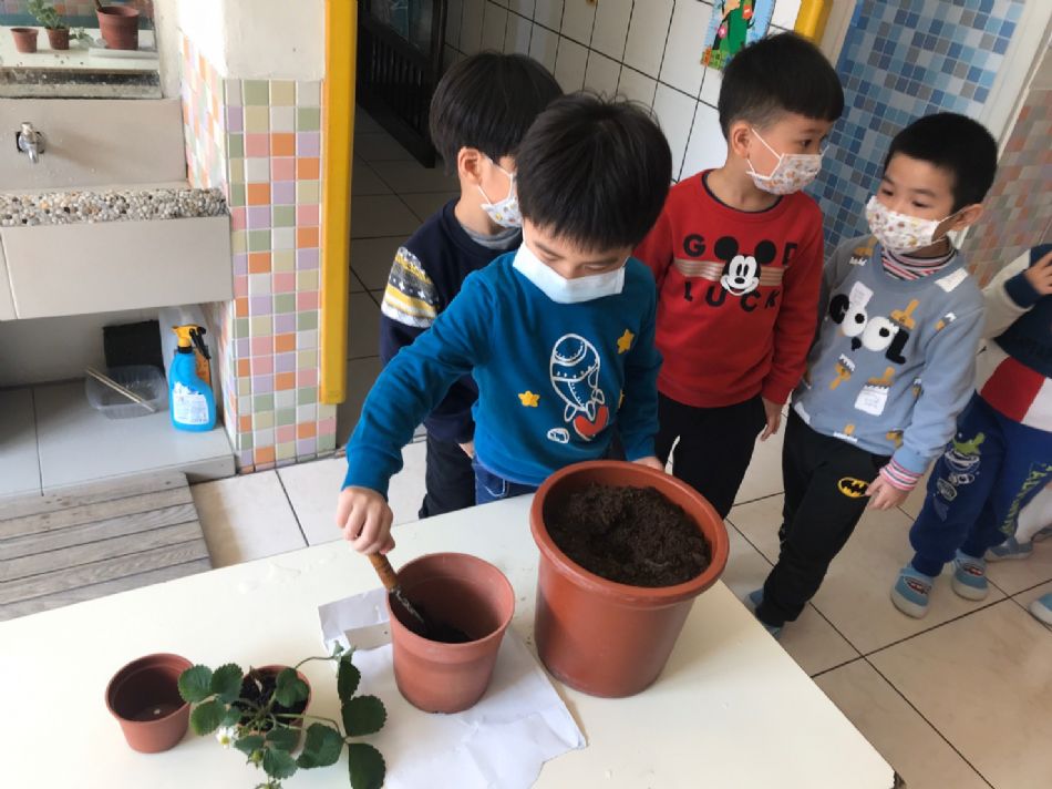 文件 : <FONT COLOR='red'>(109.02.14)種草莓.JPG</FONT> <BR> 尺寸 : <FONT COLOR='blue'>950 × 712</FONT> 圖元 <BR> 格式 : <FONT COLOR='green'>jpg</FONT> <BR> 大小 : <FONT COLOR='green'> -- </FONT> KB