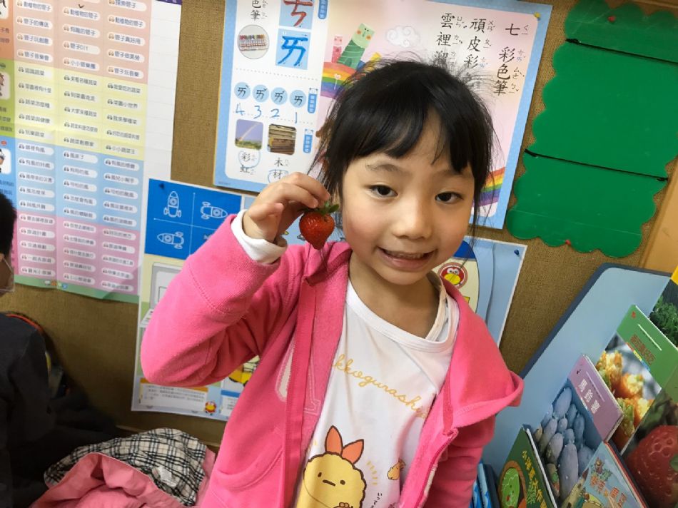 文件 : <FONT COLOR='red'>(109.03.23)草莓長大了.JPG</FONT> <BR> 尺寸 : <FONT COLOR='blue'>950 × 712</FONT> 圖元 <BR> 格式 : <FONT COLOR='green'>jpg</FONT> <BR> 大小 : <FONT COLOR='green'> -- </FONT> KB