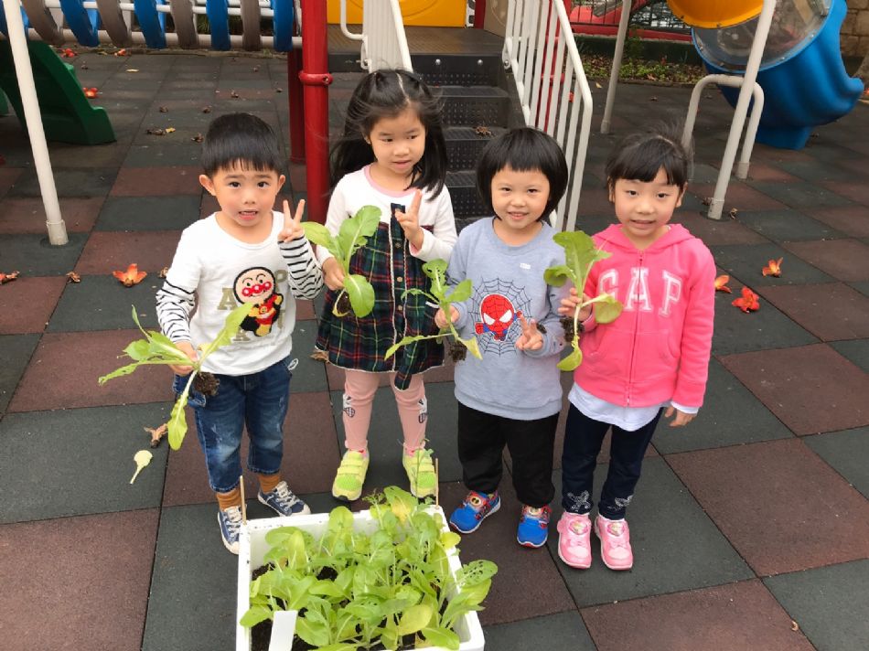 文件 : <FONT COLOR='red'>(109.03.23)蔬菜長大了-1.JPG</FONT> <BR> 尺寸 : <FONT COLOR='blue'>950 × 712</FONT> 圖元 <BR> 格式 : <FONT COLOR='green'>jpg</FONT> <BR> 大小 : <FONT COLOR='green'> -- </FONT> KB