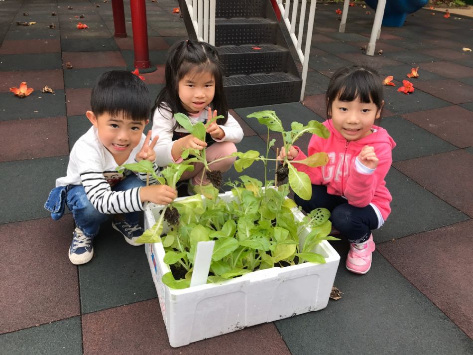 文件 : <FONT COLOR='red'>(109.03.23)蔬菜長大了.JPG</FONT> <BR> 尺寸 : <FONT COLOR='blue'>950 × 712</FONT> 圖元 <BR> 格式 : <FONT COLOR='green'>jpg</FONT> <BR> 大小 : <FONT COLOR='green'> -- </FONT> KB