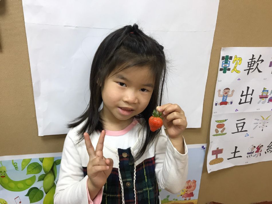 文件 : <FONT COLOR='red'>(109.03.23)草莓長大了.JPG</FONT> <BR> 尺寸 : <FONT COLOR='blue'>950 × 712</FONT> 圖元 <BR> 格式 : <FONT COLOR='green'>jpg</FONT> <BR> 大小 : <FONT COLOR='green'> -- </FONT> KB