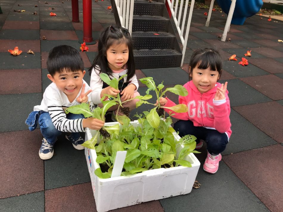 文件 : <FONT COLOR='red'>(109.03.23)蔬菜長大了-2.JPG</FONT> <BR> 尺寸 : <FONT COLOR='blue'>950 × 712</FONT> 圖元 <BR> 格式 : <FONT COLOR='green'>jpg</FONT> <BR> 大小 : <FONT COLOR='green'> -- </FONT> KB