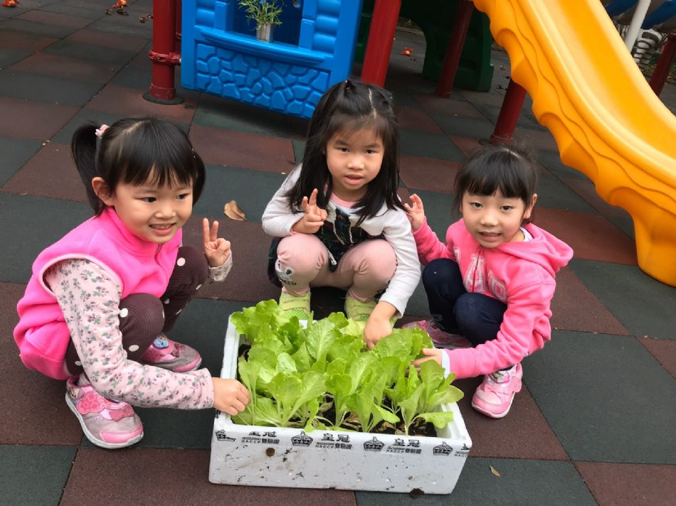 文件 : <FONT COLOR='red'>(109.03.23)蔬菜長大了-4.JPG</FONT> <BR> 尺寸 : <FONT COLOR='blue'>950 × 712</FONT> 圖元 <BR> 格式 : <FONT COLOR='green'>jpg</FONT> <BR> 大小 : <FONT COLOR='green'> -- </FONT> KB