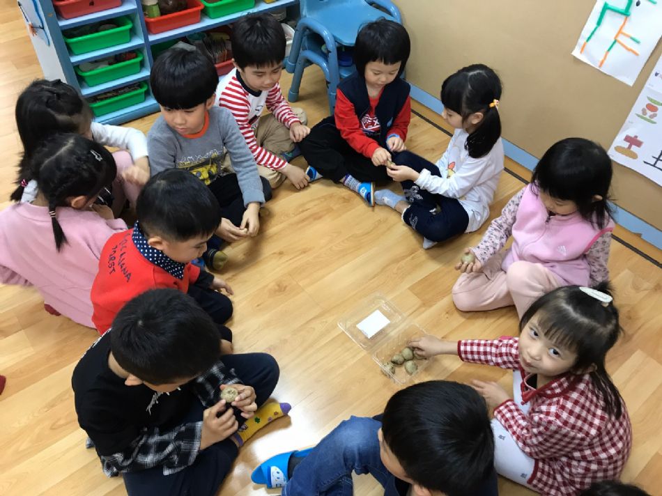 文件 : <FONT COLOR='red'>(109.03.09)觀察文珠蘭種子.JPG</FONT> <BR> 尺寸 : <FONT COLOR='blue'>950 × 712</FONT> 圖元 <BR> 格式 : <FONT COLOR='green'>jpg</FONT> <BR> 大小 : <FONT COLOR='green'> -- </FONT> KB