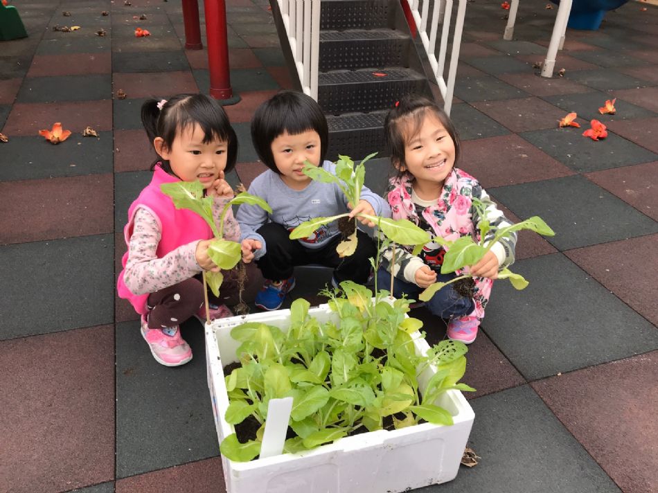 文件 : <FONT COLOR='red'>(109.03.23)蔬菜長大了-1.JPG</FONT> <BR> 尺寸 : <FONT COLOR='blue'>950 × 712</FONT> 圖元 <BR> 格式 : <FONT COLOR='green'>jpg</FONT> <BR> 大小 : <FONT COLOR='green'> -- </FONT> KB