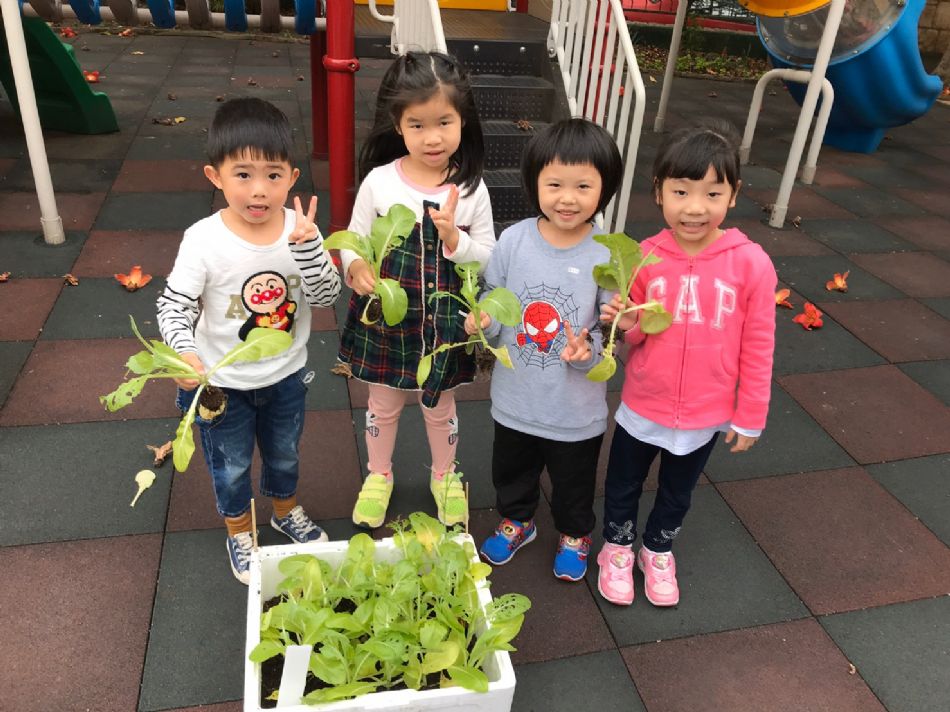 文件 : <FONT COLOR='red'>(109.03.23)蔬菜長大了-3.JPG</FONT> <BR> 尺寸 : <FONT COLOR='blue'>950 × 712</FONT> 圖元 <BR> 格式 : <FONT COLOR='green'>jpg</FONT> <BR> 大小 : <FONT COLOR='green'> -- </FONT> KB