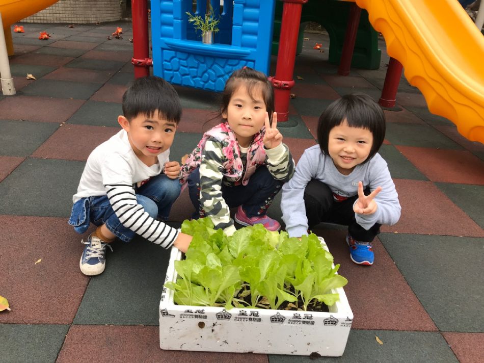 文件 : <FONT COLOR='red'>(109.03.23)蔬菜長大了-4.JPG</FONT> <BR> 尺寸 : <FONT COLOR='blue'>950 × 712</FONT> 圖元 <BR> 格式 : <FONT COLOR='green'>jpg</FONT> <BR> 大小 : <FONT COLOR='green'> -- </FONT> KB