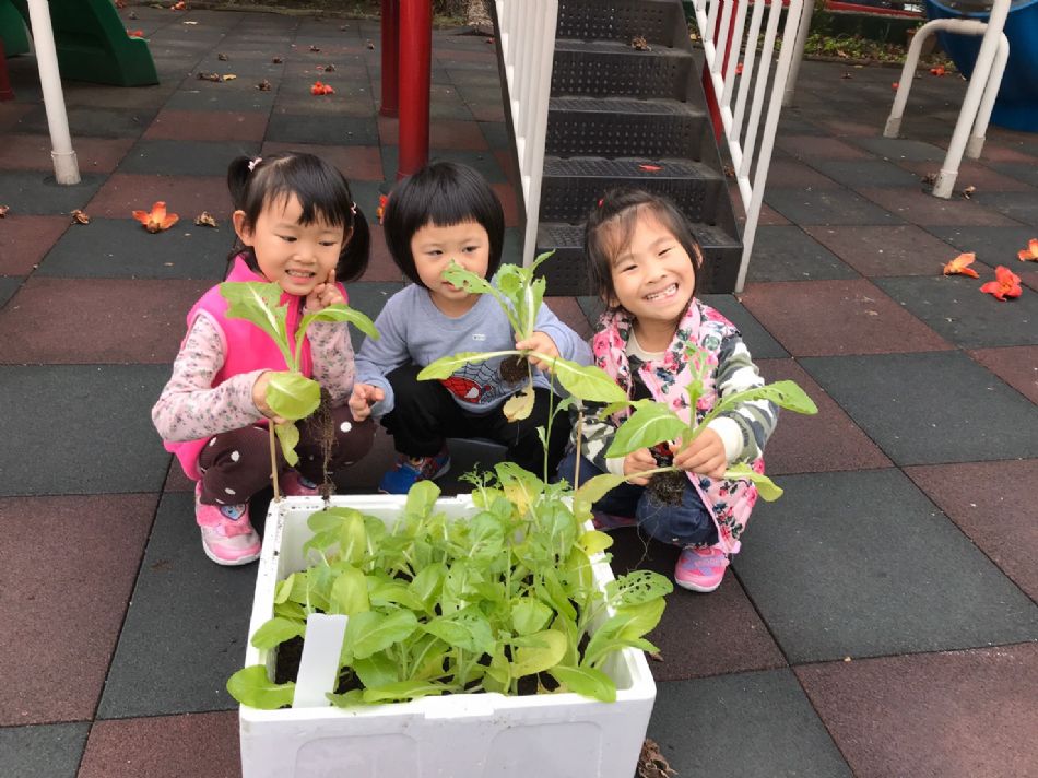 文件 : <FONT COLOR='red'>(109.03.23)蔬菜長大了.JPG</FONT> <BR> 尺寸 : <FONT COLOR='blue'>950 × 712</FONT> 圖元 <BR> 格式 : <FONT COLOR='green'>jpg</FONT> <BR> 大小 : <FONT COLOR='green'> -- </FONT> KB