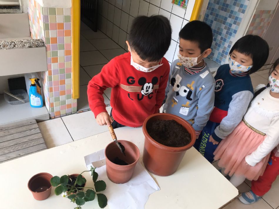 文件 : <FONT COLOR='red'>(109.02.14)種草莓-1.JPG</FONT> <BR> 尺寸 : <FONT COLOR='blue'>950 × 712</FONT> 圖元 <BR> 格式 : <FONT COLOR='green'>jpg</FONT> <BR> 大小 : <FONT COLOR='green'> -- </FONT> KB