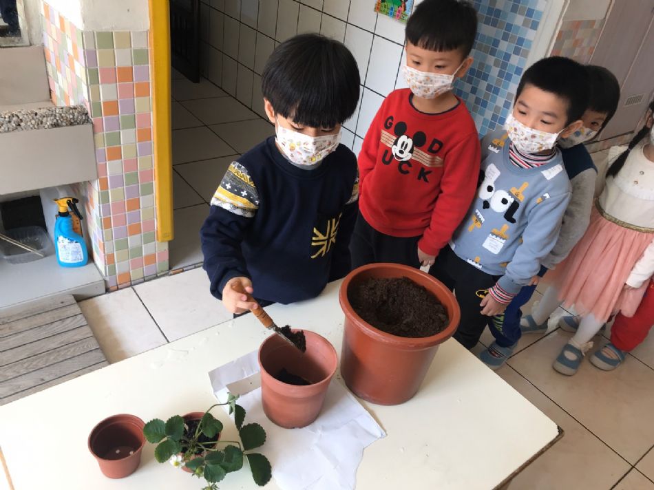 文件 : <FONT COLOR='red'>(109.02.14)種草莓-2.JPG</FONT> <BR> 尺寸 : <FONT COLOR='blue'>950 × 712</FONT> 圖元 <BR> 格式 : <FONT COLOR='green'>jpg</FONT> <BR> 大小 : <FONT COLOR='green'> -- </FONT> KB