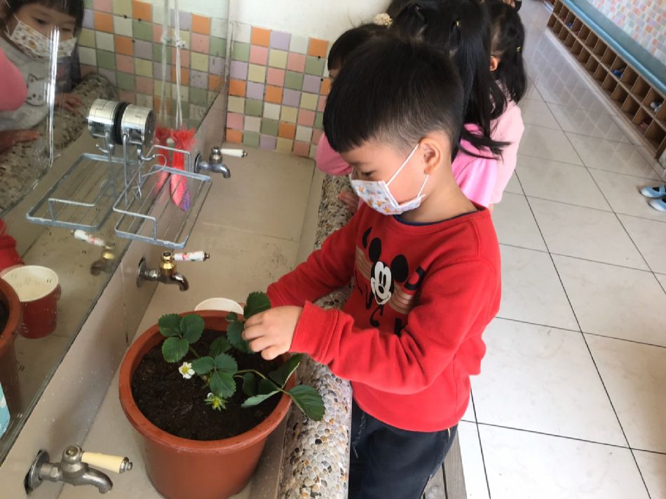 文件 : <FONT COLOR='red'>(109.02.14)種草莓-3.JPG</FONT> <BR> 尺寸 : <FONT COLOR='blue'>950 × 712</FONT> 圖元 <BR> 格式 : <FONT COLOR='green'>jpg</FONT> <BR> 大小 : <FONT COLOR='green'> -- </FONT> KB