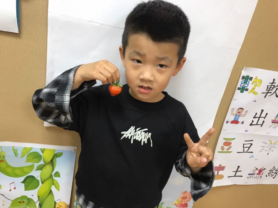 文件 : <FONT COLOR='red'>(109.03.23)草莓長大了.JPG</FONT> <BR> 尺寸 : <FONT COLOR='blue'>950 × 712</FONT> 圖元 <BR> 格式 : <FONT COLOR='green'>jpg</FONT> <BR> 大小 : <FONT COLOR='green'> -- </FONT> KB