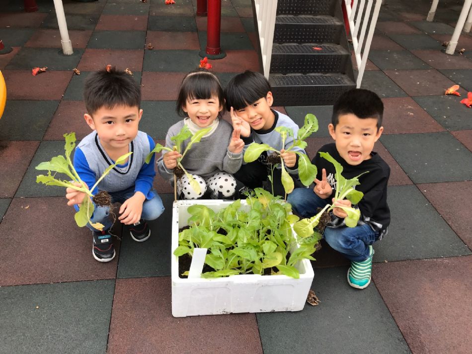 文件 : <FONT COLOR='red'>(109.03.23)蔬菜長大了-1.JPG</FONT> <BR> 尺寸 : <FONT COLOR='blue'>950 × 712</FONT> 圖元 <BR> 格式 : <FONT COLOR='green'>jpg</FONT> <BR> 大小 : <FONT COLOR='green'> -- </FONT> KB