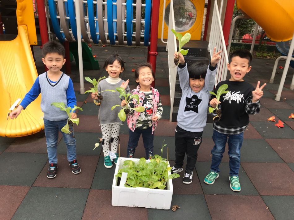 文件 : <FONT COLOR='red'>(109.03.23)蔬菜長大了-2.JPG</FONT> <BR> 尺寸 : <FONT COLOR='blue'>950 × 712</FONT> 圖元 <BR> 格式 : <FONT COLOR='green'>jpg</FONT> <BR> 大小 : <FONT COLOR='green'> -- </FONT> KB