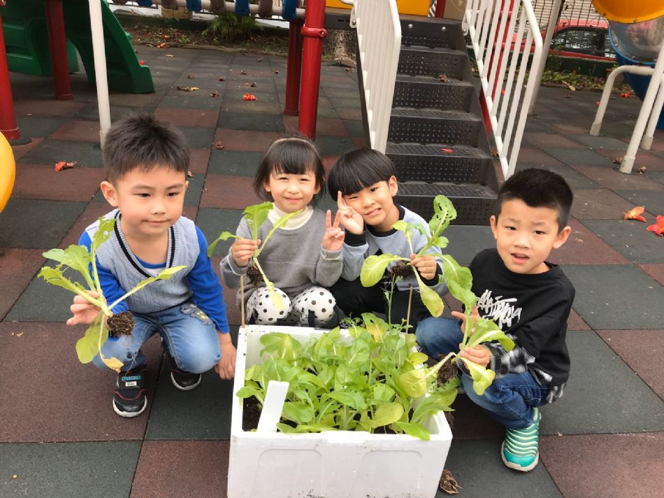 文件 : <FONT COLOR='red'>(109.03.23)蔬菜長大了-3.JPG</FONT> <BR> 尺寸 : <FONT COLOR='blue'>950 × 712</FONT> 圖元 <BR> 格式 : <FONT COLOR='green'>jpg</FONT> <BR> 大小 : <FONT COLOR='green'> -- </FONT> KB