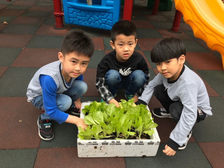 文件 : <FONT COLOR='red'>(109.03.23)蔬菜長大了-4.JPG</FONT> <BR> 尺寸 : <FONT COLOR='blue'>950 × 712</FONT> 圖元 <BR> 格式 : <FONT COLOR='green'>jpg</FONT> <BR> 大小 : <FONT COLOR='green'> -- </FONT> KB