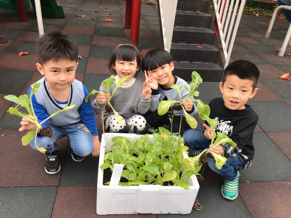 文件 : <FONT COLOR='red'>(109.03.23)蔬菜長大了-6.JPG</FONT> <BR> 尺寸 : <FONT COLOR='blue'>950 × 712</FONT> 圖元 <BR> 格式 : <FONT COLOR='green'>jpg</FONT> <BR> 大小 : <FONT COLOR='green'> -- </FONT> KB