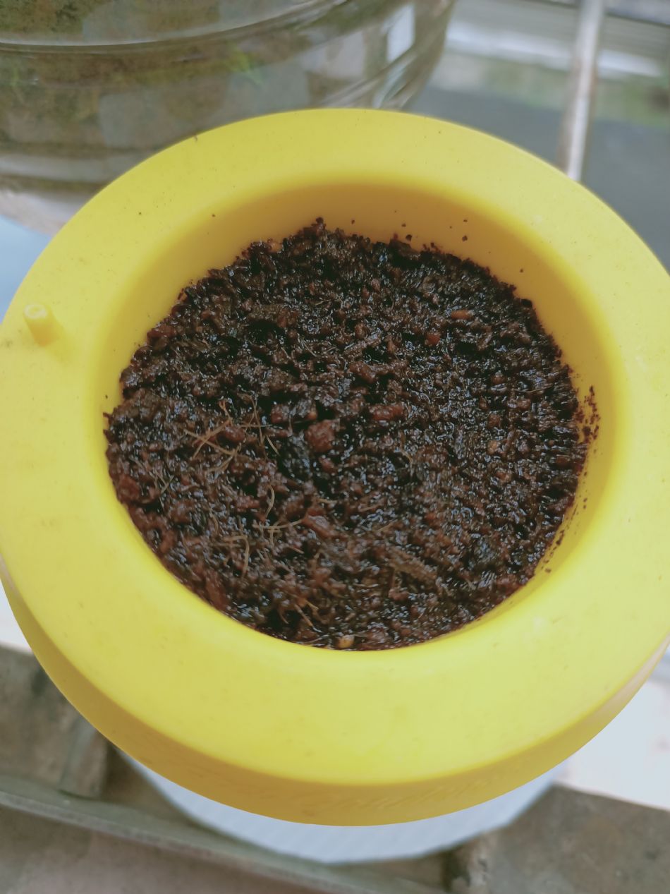 文件 : <FONT COLOR='red'>(109.03.19)種植-7.JPG</FONT> <BR> 尺寸 : <FONT COLOR='blue'>950 × 1267</FONT> 圖元 <BR> 格式 : <FONT COLOR='green'>jpg</FONT> <BR> 大小 : <FONT COLOR='green'> -- </FONT> KB