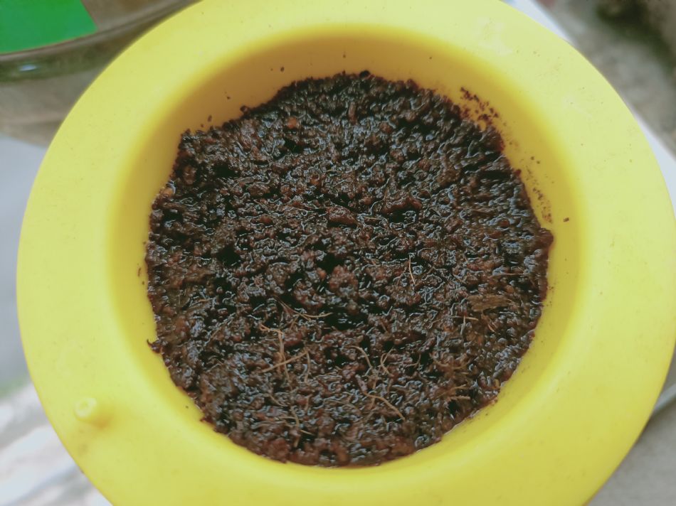 文件 : <FONT COLOR='red'>(109.03.23)種植-5.JPG</FONT> <BR> 尺寸 : <FONT COLOR='blue'>950 × 712</FONT> 圖元 <BR> 格式 : <FONT COLOR='green'>jpg</FONT> <BR> 大小 : <FONT COLOR='green'> -- </FONT> KB