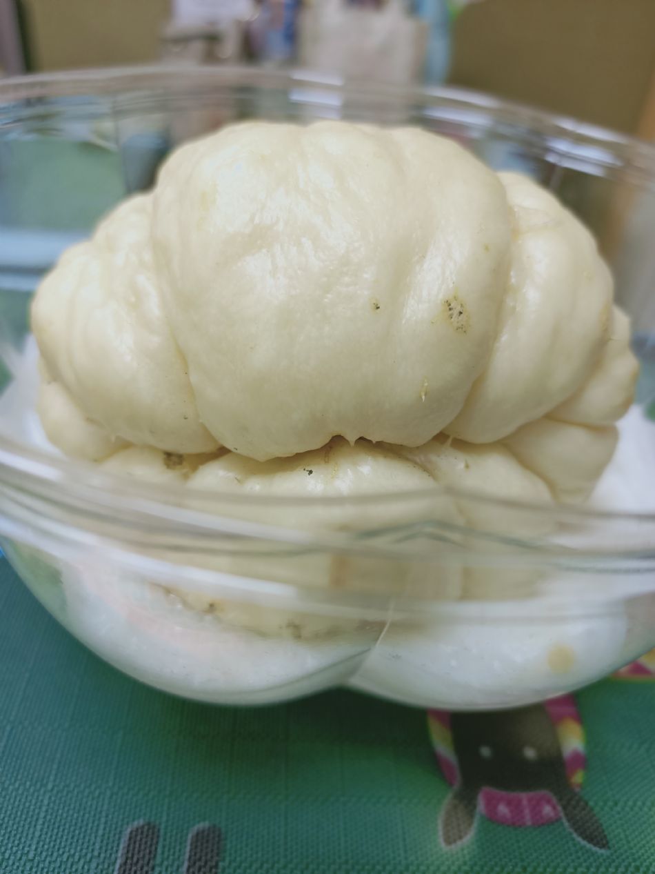 文件 : <FONT COLOR='red'>(109.03.04)種植-13.JPG</FONT> <BR> 尺寸 : <FONT COLOR='blue'>950 × 1267</FONT> 圖元 <BR> 格式 : <FONT COLOR='green'>jpg</FONT> <BR> 大小 : <FONT COLOR='green'> -- </FONT> KB