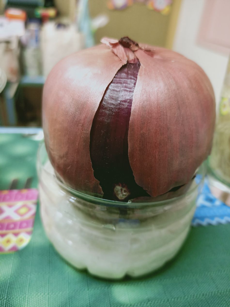 文件 : <FONT COLOR='red'>(109.03.04)種植.JPG</FONT> <BR> 尺寸 : <FONT COLOR='blue'>950 × 1267</FONT> 圖元 <BR> 格式 : <FONT COLOR='green'>jpg</FONT> <BR> 大小 : <FONT COLOR='green'> -- </FONT> KB