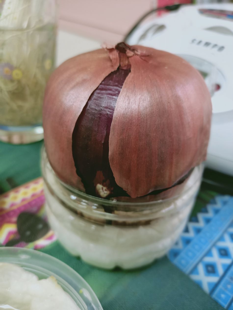 文件 : <FONT COLOR='red'>(109.03.06)種植-10.JPG</FONT> <BR> 尺寸 : <FONT COLOR='blue'>950 × 1267</FONT> 圖元 <BR> 格式 : <FONT COLOR='green'>jpg</FONT> <BR> 大小 : <FONT COLOR='green'> -- </FONT> KB