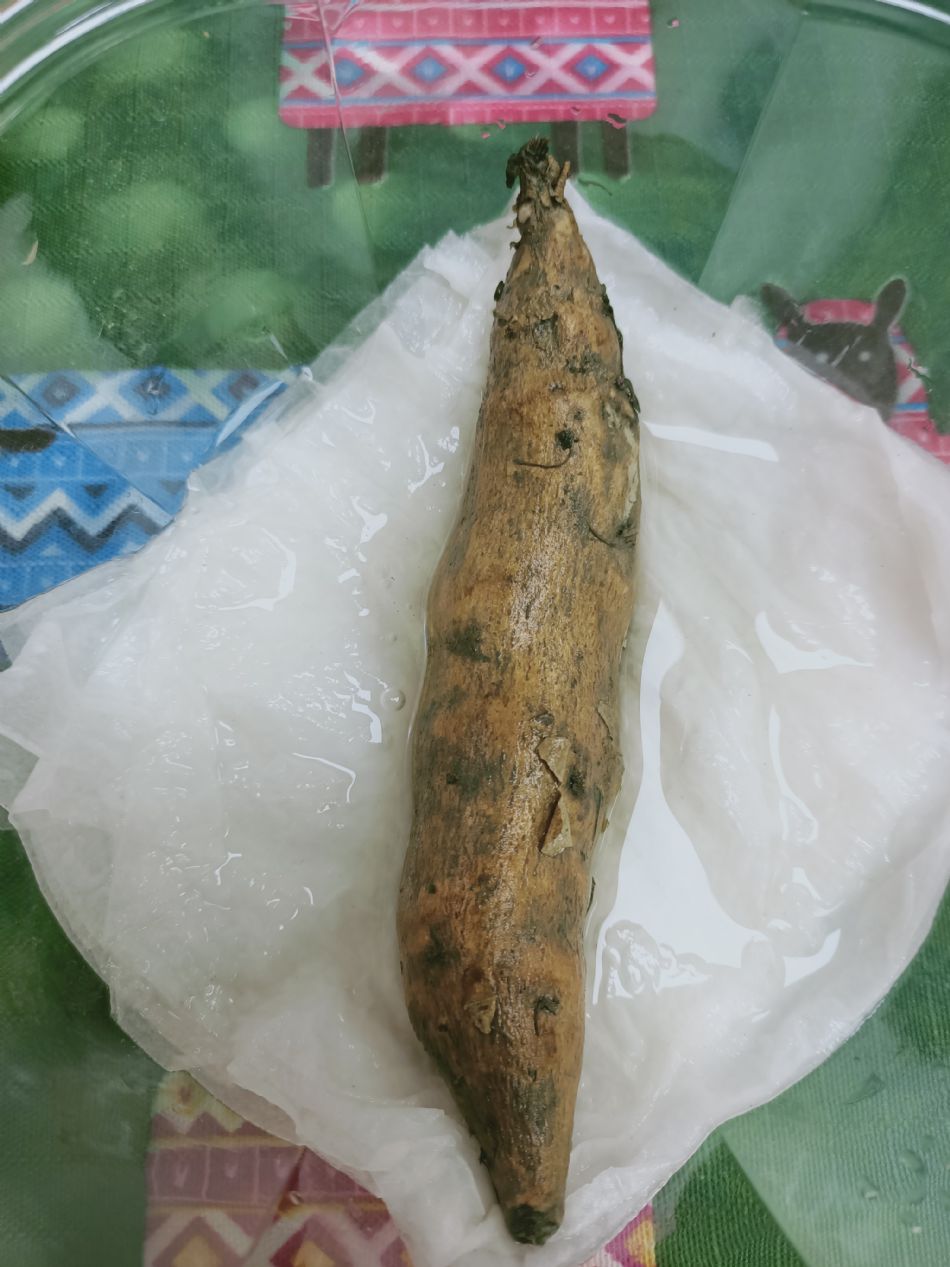 文件 : <FONT COLOR='red'>(109.03.06)種植-2.JPG</FONT> <BR> 尺寸 : <FONT COLOR='blue'>950 × 1267</FONT> 圖元 <BR> 格式 : <FONT COLOR='green'>jpg</FONT> <BR> 大小 : <FONT COLOR='green'> -- </FONT> KB