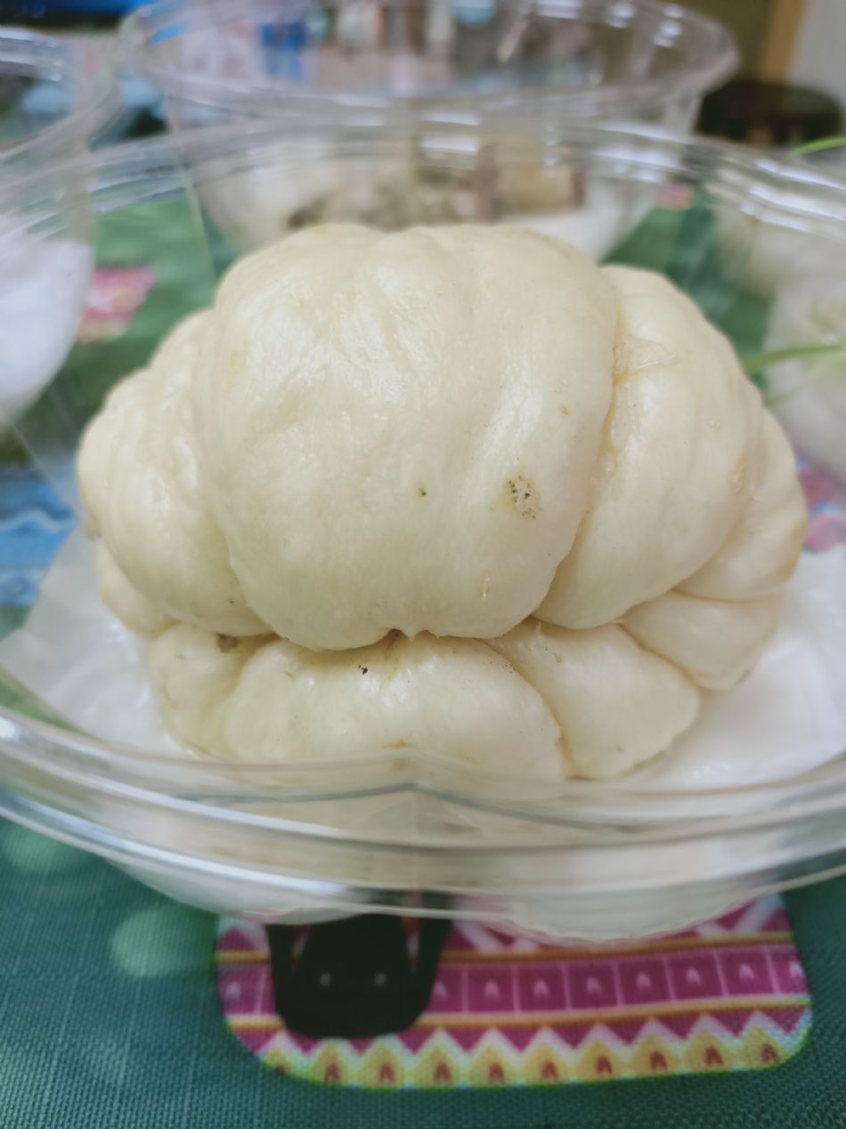 文件 : <FONT COLOR='red'>(109.03.06)種植-3.JPG</FONT> <BR> 尺寸 : <FONT COLOR='blue'>950 × 1267</FONT> 圖元 <BR> 格式 : <FONT COLOR='green'>jpg</FONT> <BR> 大小 : <FONT COLOR='green'> -- </FONT> KB