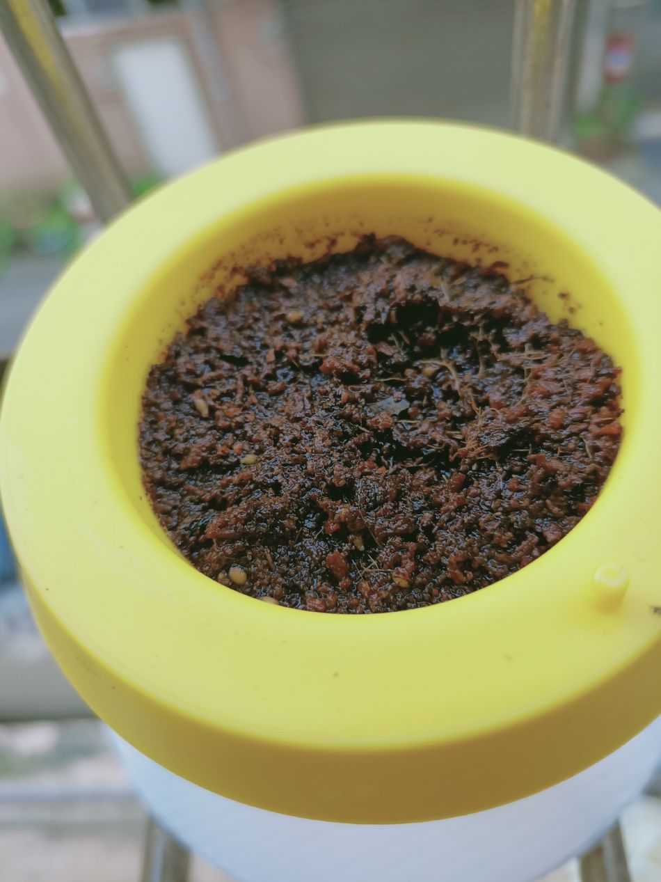 文件 : <FONT COLOR='red'>(109.03.06)種植-7.JPG</FONT> <BR> 尺寸 : <FONT COLOR='blue'>950 × 1267</FONT> 圖元 <BR> 格式 : <FONT COLOR='green'>jpg</FONT> <BR> 大小 : <FONT COLOR='green'> -- </FONT> KB