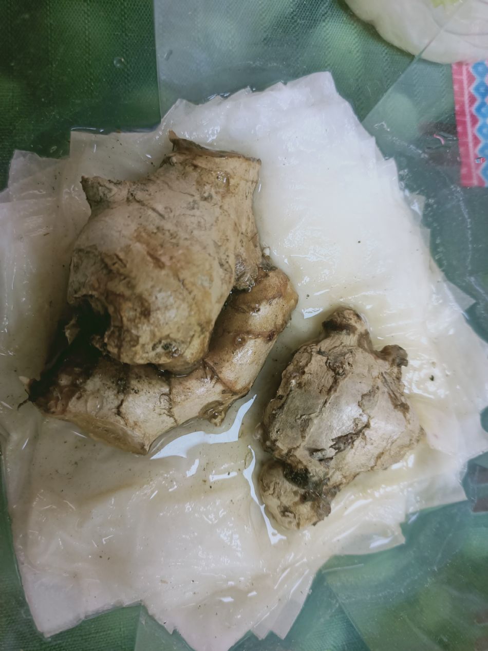 文件 : <FONT COLOR='red'>(109.03.06)種植-8.JPG</FONT> <BR> 尺寸 : <FONT COLOR='blue'>950 × 1267</FONT> 圖元 <BR> 格式 : <FONT COLOR='green'>jpg</FONT> <BR> 大小 : <FONT COLOR='green'> -- </FONT> KB