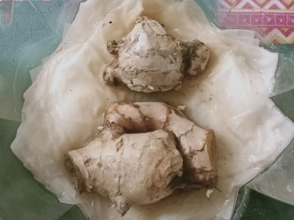 文件 : <FONT COLOR='red'>(109.03.09)種植-2.JPG</FONT> <BR> 尺寸 : <FONT COLOR='blue'>950 × 712</FONT> 圖元 <BR> 格式 : <FONT COLOR='green'>jpg</FONT> <BR> 大小 : <FONT COLOR='green'> -- </FONT> KB