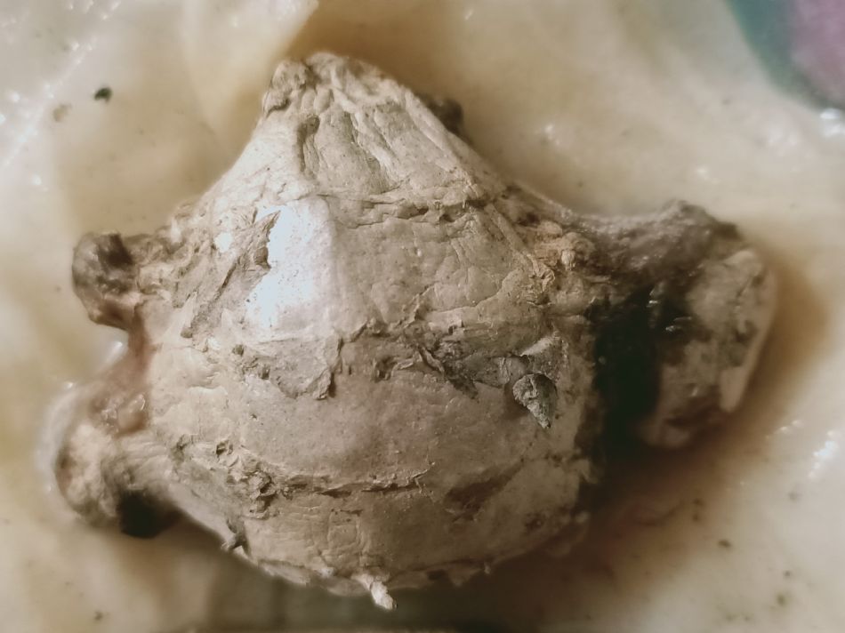 文件 : <FONT COLOR='red'>(109.03.09)種植-3.JPG</FONT> <BR> 尺寸 : <FONT COLOR='blue'>950 × 712</FONT> 圖元 <BR> 格式 : <FONT COLOR='green'>jpg</FONT> <BR> 大小 : <FONT COLOR='green'> -- </FONT> KB