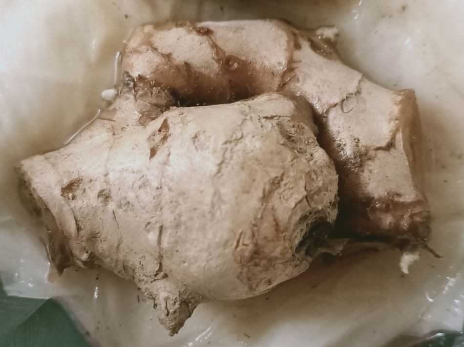 文件 : <FONT COLOR='red'>(109.03.09)種植.JPG</FONT> <BR> 尺寸 : <FONT COLOR='blue'>950 × 712</FONT> 圖元 <BR> 格式 : <FONT COLOR='green'>jpg</FONT> <BR> 大小 : <FONT COLOR='green'> -- </FONT> KB