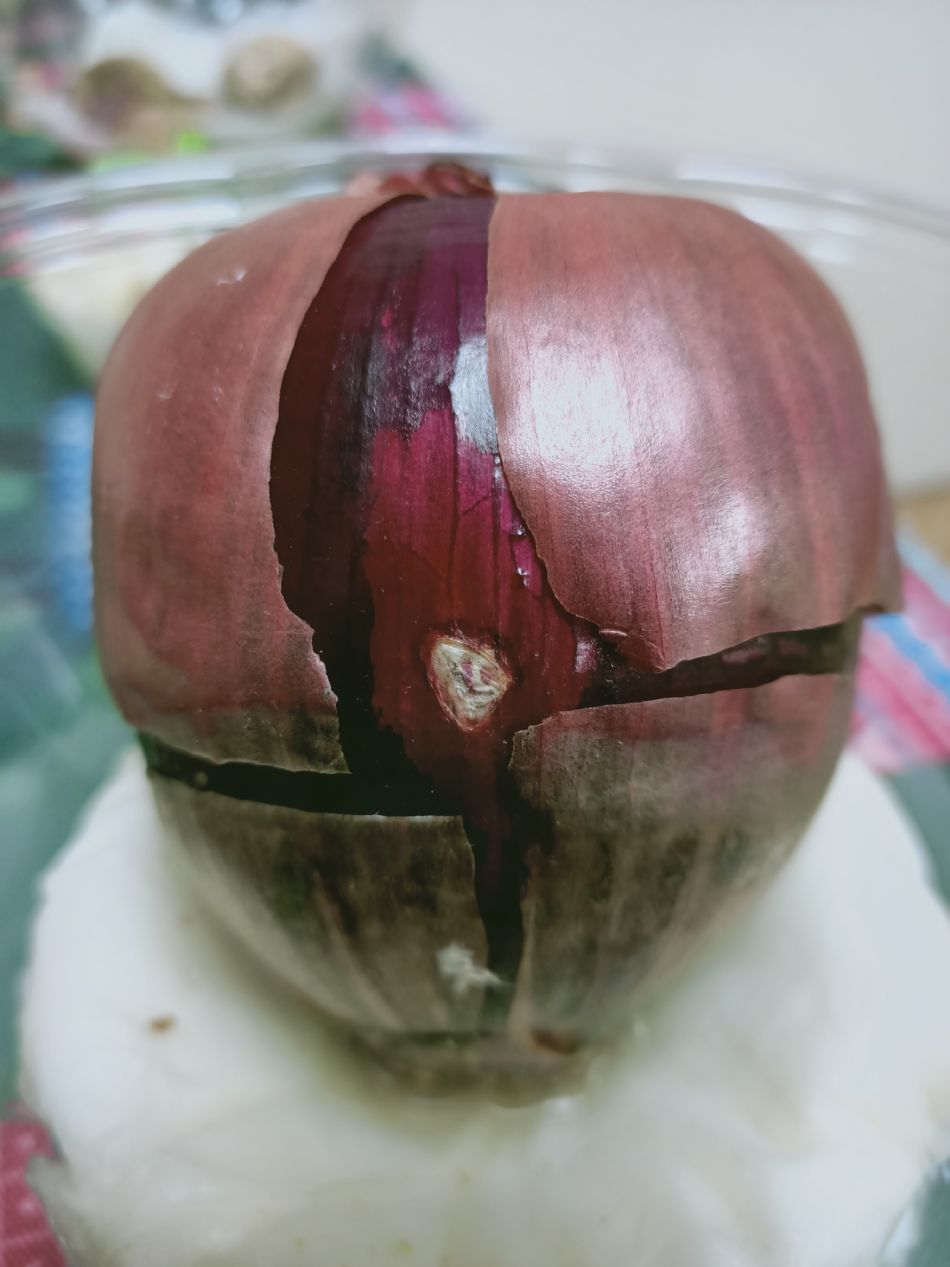 文件 : <FONT COLOR='red'>(109.03.10)種植-3.JPG</FONT> <BR> 尺寸 : <FONT COLOR='blue'>950 × 1267</FONT> 圖元 <BR> 格式 : <FONT COLOR='green'>jpg</FONT> <BR> 大小 : <FONT COLOR='green'> -- </FONT> KB