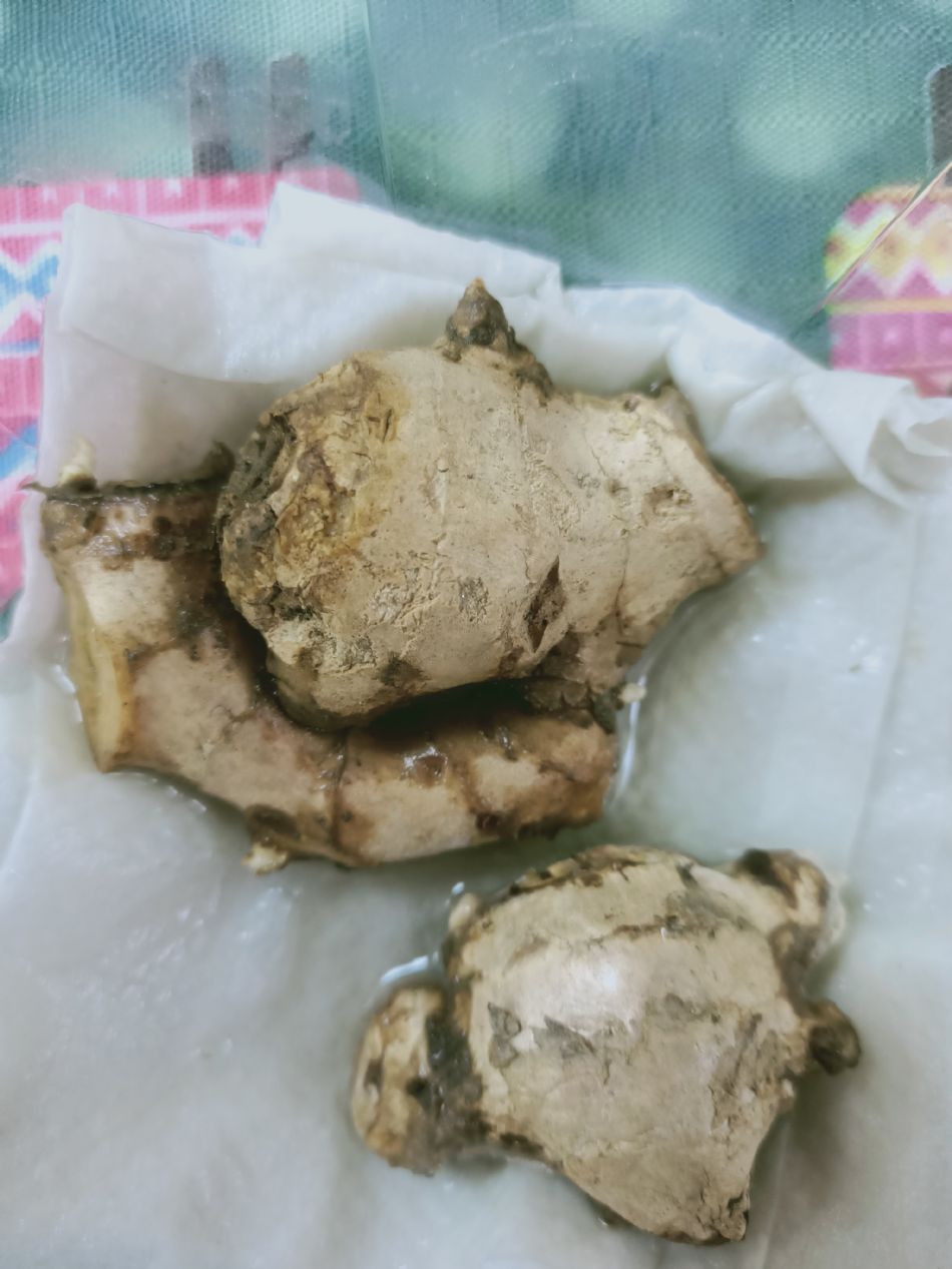 文件 : <FONT COLOR='red'>(109.03.10)種植-8.JPG</FONT> <BR> 尺寸 : <FONT COLOR='blue'>950 × 1267</FONT> 圖元 <BR> 格式 : <FONT COLOR='green'>jpg</FONT> <BR> 大小 : <FONT COLOR='green'> -- </FONT> KB