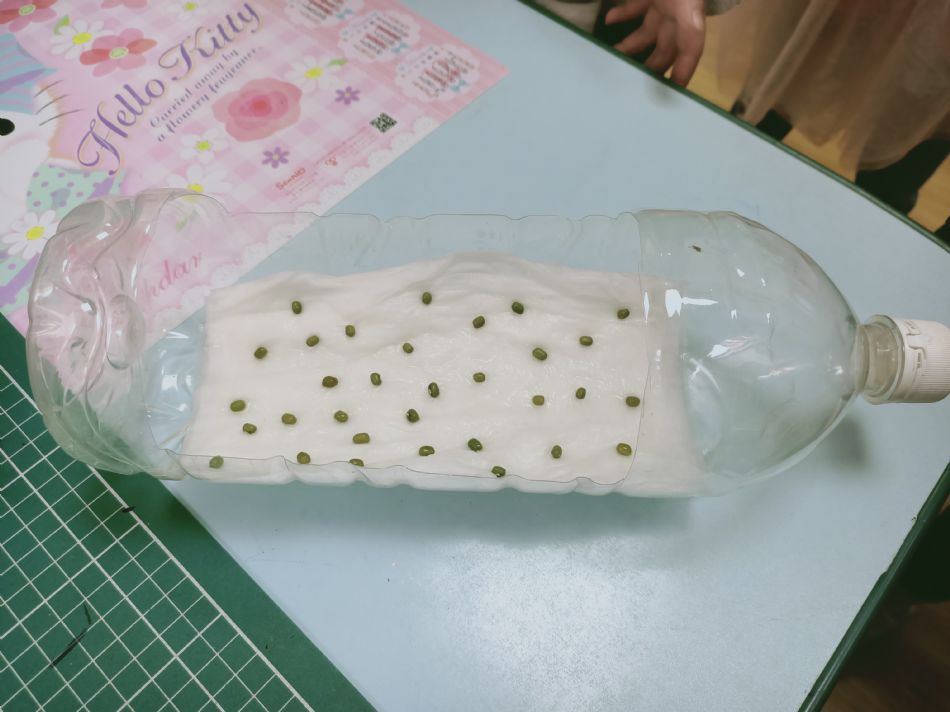 文件 : <FONT COLOR='red'>(109.02.10)種綠豆-1.JPG</FONT> <BR> 尺寸 : <FONT COLOR='blue'>950 × 712</FONT> 圖元 <BR> 格式 : <FONT COLOR='green'>jpg</FONT> <BR> 大小 : <FONT COLOR='green'> -- </FONT> KB