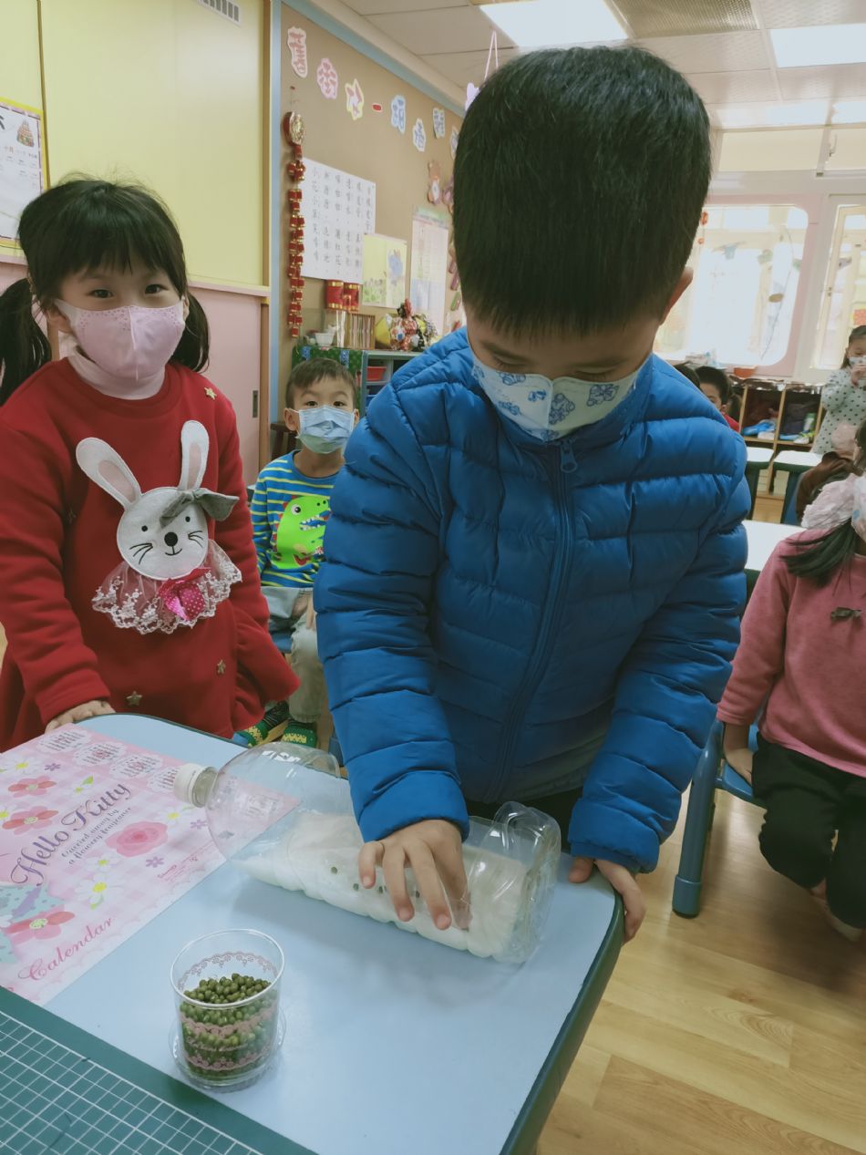 文件 : <FONT COLOR='red'>(109.02.10)種綠豆.JPG</FONT> <BR> 尺寸 : <FONT COLOR='blue'>950 × 1267</FONT> 圖元 <BR> 格式 : <FONT COLOR='green'>jpg</FONT> <BR> 大小 : <FONT COLOR='green'> -- </FONT> KB