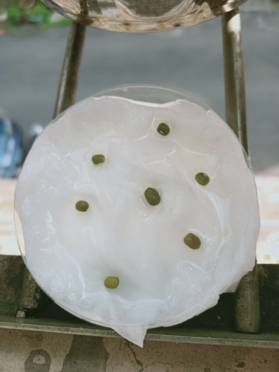 文件 : <FONT COLOR='red'>(109.02.21)種植-1.JPG</FONT> <BR> 尺寸 : <FONT COLOR='blue'>950 × 1267</FONT> 圖元 <BR> 格式 : <FONT COLOR='green'>jpg</FONT> <BR> 大小 : <FONT COLOR='green'> -- </FONT> KB