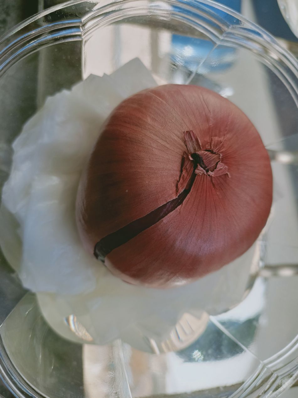 文件 : <FONT COLOR='red'>(109.02.24)種植-2.JPG</FONT> <BR> 尺寸 : <FONT COLOR='blue'>950 × 1267</FONT> 圖元 <BR> 格式 : <FONT COLOR='green'>jpg</FONT> <BR> 大小 : <FONT COLOR='green'> -- </FONT> KB