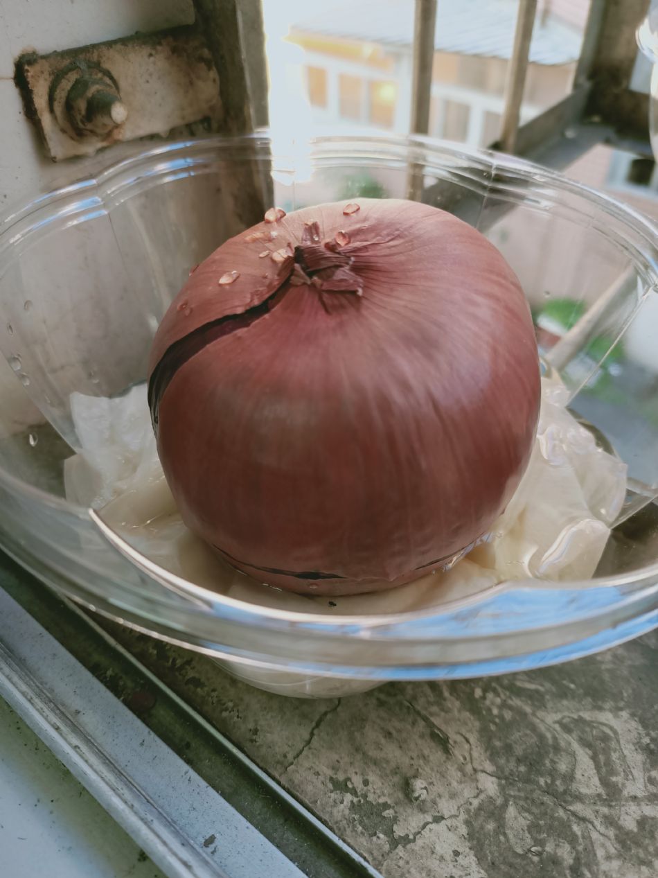 文件 : <FONT COLOR='red'>(109.02.25)種植.JPG</FONT> <BR> 尺寸 : <FONT COLOR='blue'>950 × 1267</FONT> 圖元 <BR> 格式 : <FONT COLOR='green'>jpg</FONT> <BR> 大小 : <FONT COLOR='green'> -- </FONT> KB