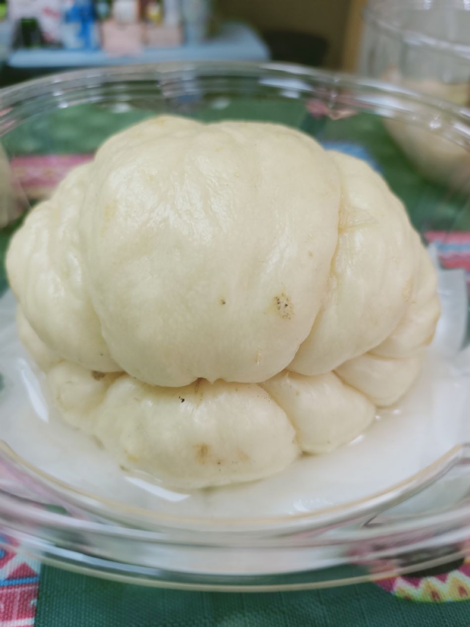 文件 : <FONT COLOR='red'>(109.03.02)種植-6.JPG</FONT> <BR> 尺寸 : <FONT COLOR='blue'>950 × 1267</FONT> 圖元 <BR> 格式 : <FONT COLOR='green'>jpg</FONT> <BR> 大小 : <FONT COLOR='green'> -- </FONT> KB