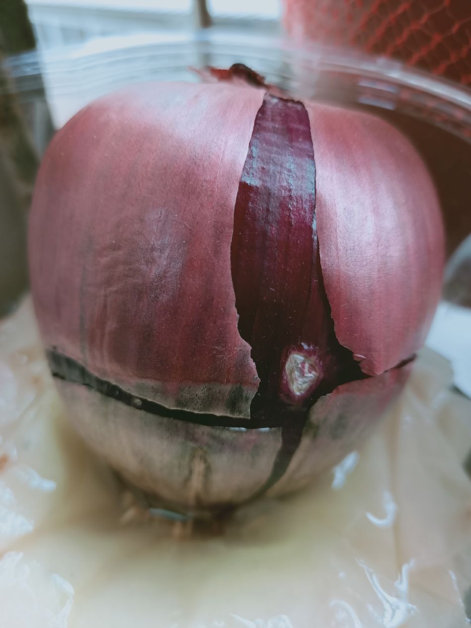 文件 : <FONT COLOR='red'>(109.03.03)種植-3.JPG</FONT> <BR> 尺寸 : <FONT COLOR='blue'>950 × 1267</FONT> 圖元 <BR> 格式 : <FONT COLOR='green'>jpg</FONT> <BR> 大小 : <FONT COLOR='green'> -- </FONT> KB